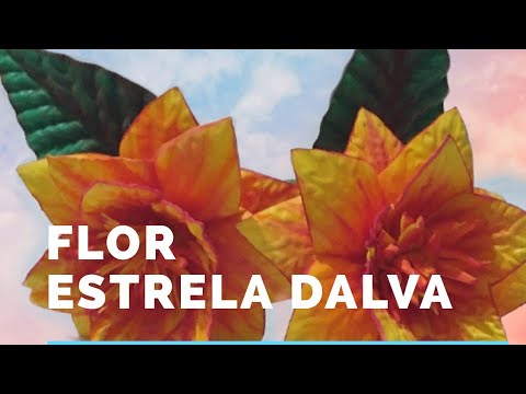 Flor de E.V.A estrela Dalva ||#ARTESANATO #ARTESANATODEEVA #ARTESANATO -  thptnganamst.edu.vn