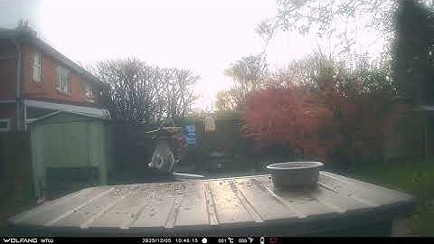 vlc record 2025 12 17 16h35m27s IMAG0044 avi