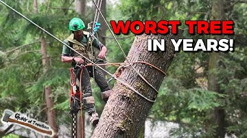 EXTREME HEMLOCK DISASTER!!! This 130’ widow maker had me TERRIFIED!