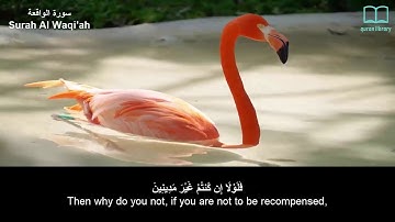 سورة الواقعة - سعد الغامدي - مترجم | Surah Al Waqi'ah - Saad Alghamdi - English subtitles