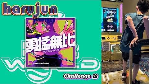 [DDR WORLD] harujun - 勇猛無比 CSP-18 999,790 + CDP-18 996,130