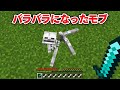 mobの死体で遊ぶのが面白すぎる【マイクラ】