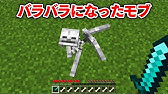 マイクラ テクスチャがバグった世界でダイヤを掘る Youtube