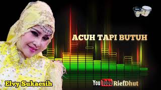 Download Lagu Acuh Tapi Butuh_Elvy Sukaesih MP3 Download Lagu Acuh Tapi Butuh_Elvy Sukaesih MP3