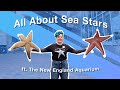 All About Sea Stars (ft. The New England Aquarium) | Visible Body #biologyeducation #seastars