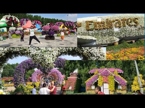 Miracle garden Dubai 2023 !The world’s largest natural flower garden !Maza aa gaya 😍