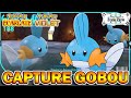 Capturer le starter gobou  pokmon violet  carlate  dlc disque indigo 