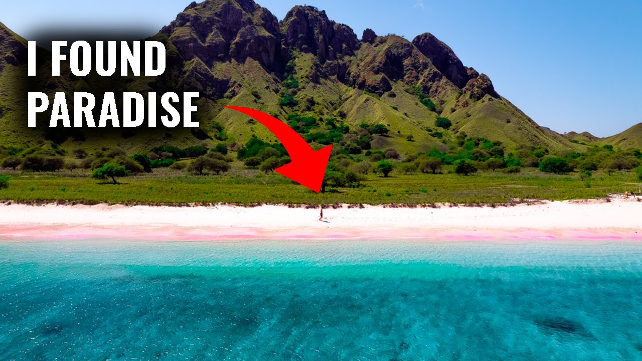 ⁣Komodo Island - We Found HEAVEN On Earth 😱 | Indonesia Travel Vlog