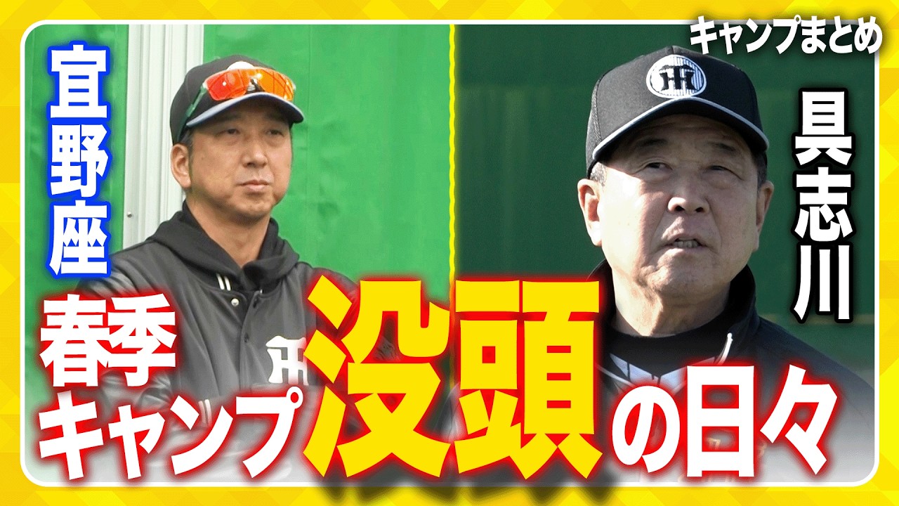 【没頭の日々】約1ヶ月の沖縄キャンプ、野球に没頭した虎戦士の様子をまとめました！間もなく始まる新シーズンへ万全のコンディションで挑みます！