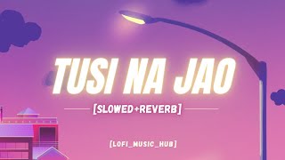 Tusi Na Jao LoFI Song [SLOWED+REVERB] New Punjabi Song 2024