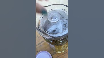 Chè Dây Rừng Hỗ Trợ Điều Trị Viêm Loét Dạ Dày, Trào Ngược