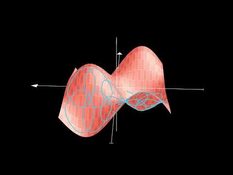 Video: Kas yra diferencialinės geometrijos indikatorius?