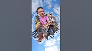 Đánh giá chiếc Insta360 X5, chiếc camera hành trình cho tôi các góc quay vô cùng ảo ma #insta360x5