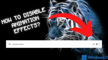 Windows 11: How To Disable ANIMATION EFFECTS?
