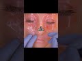 極秘調査 お風呂で体のどこから洗ってる ASMR 極秘調査 お風呂で体のどこから洗ってる ASMR