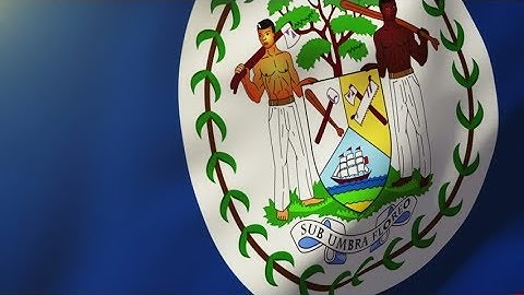 4K Belize flag waving in the wind. Looping sun rises style. Animation loop Stock video