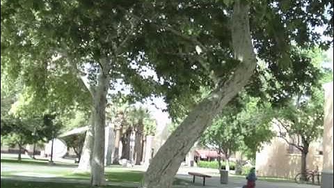 Milton Hall across from Zuhl Library