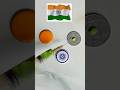india flag panting 🇮🇳 with coin and water 💧 drop #shorts #youtubeshorts #ytshorts #viralvideo