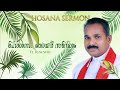     hosana sunday sermon  fr rosewin  palm sunday official