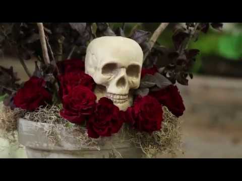 Video: Helovīna ziedi un augi: izaudzējiet savu Helovīna centrālo daļu