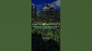 تلاوة من سورة الأنعام القارئ حاتم المالكي  بسم الله الرحمان الرحيم #تلاوة #قران #قرآن #حاتم_المالكي