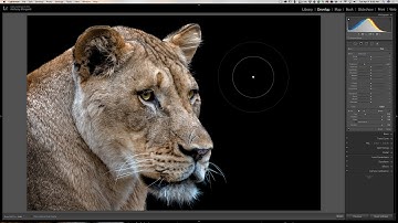 Lightroom Quick Tips - Episode 100: Brush Tips