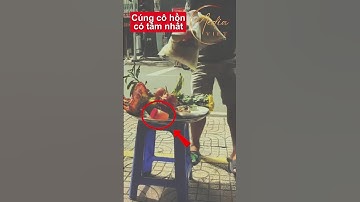 Cúng cô hồn cũng phải có tâm là đây