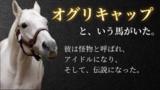 芦毛の怪物〝オグリキャップ〟🐎