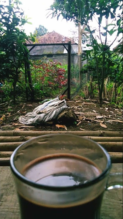 pagi-pagi ngopi dikebun#storywa#shorts#pemandanganindah