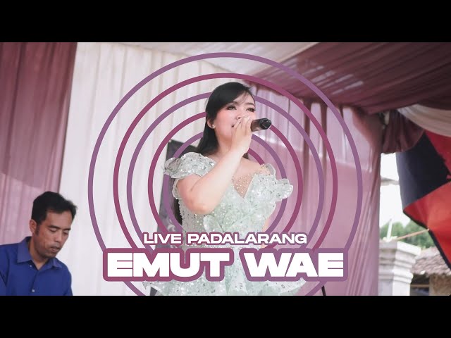 EMUT WAE - WENNY DANCOW ( LIVE PADALARANG) class=