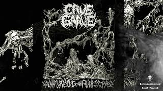 Cave Grave - The Cells Are Nearly Dead from Overgrowth