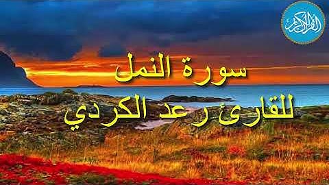 سورة النمل للقارئ رعد الكردي