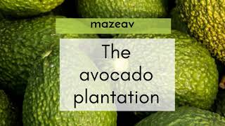 The Biofactory - mazeav