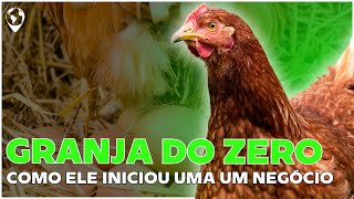 Alimentação Verde: Desvendando o SEGREDO para LUCRAR com Galinhas Caipiras! Granja do ZERO ao LUCRO.