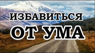 Роберт Адамс — Избавиться от ума