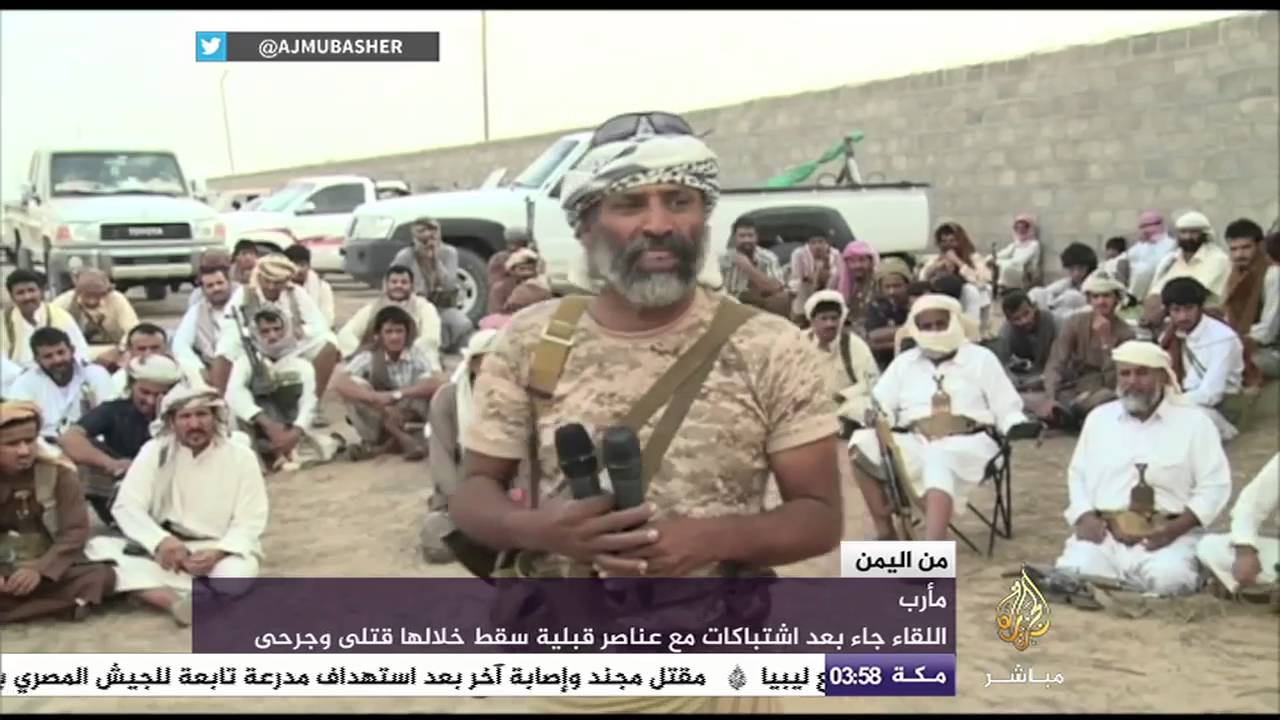 اليمن اليوم.. يمنيون يطلقون طيور في لفتة من أجل السلام في بلادهم