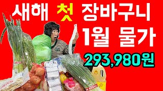 새해 첫 장바구니, 같이 구경해요! 24년 1월 물가