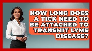 How Long Does A Tick Need To Be Attached To Transmit Lyme Disease? - Exploring Campgrounds