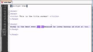 Famous XHTML and CSS Tutorial - 4 - Paragraphs and Line Breaks Profile