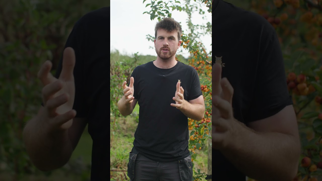 How To Grow Food by Stealth! #edimentals