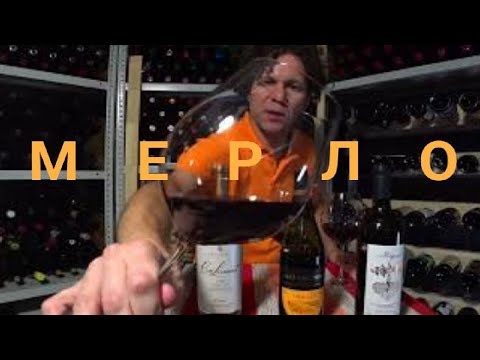 Вино Фанагория Крю Лермонт/Гай-Кодзор/Винодельня Гунько.Мерло вино. Эксперт по винам Стефан Секулич