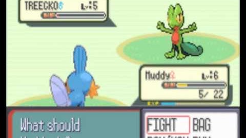 Pokemon Ruby Walkthrough part 2