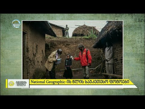 National Geographic-ის 2019 წლის საუკეთესო ფოტოების ასეული და ფოტო ისტორიები