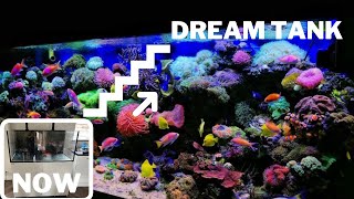 Step by step guide: how to set up a saltwater aquarium