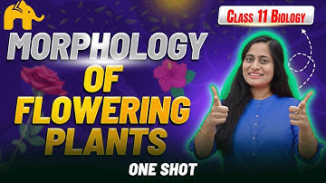 Morphology of Flowering Plants Class 11 Biology | NCERT Chapter 5 CBSE NEET | One shot Full Chapter