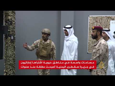 لماذا يشتري الإماراتيون أراضي جزيرة سقطرى