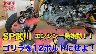 【エンジン一発始動！】SP武川でゴリラを12ボルト化！HONDA GORILLA  MIKUNI 4ミニ Z50J モンキー シャリー  DAX