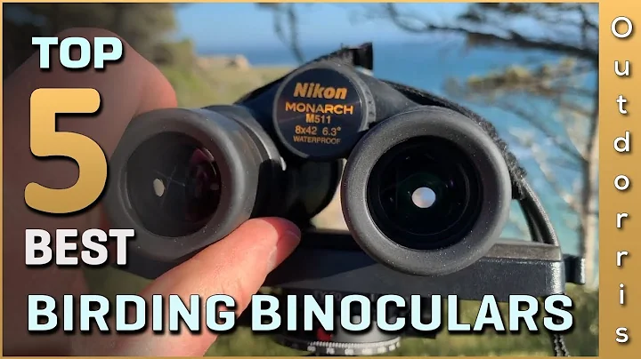 Top 5 Best Birding Binoculars Review in 2025