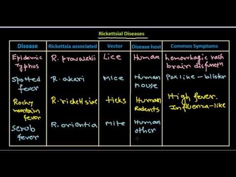 Rickettsial disease