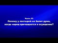 Методика и технология ШП  Ч.23 Почему у пастырей не болит душа, когда народ причащается в осуждение?